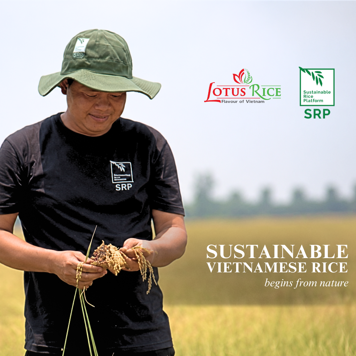 Top 5 Rice Exporting Countries In 2025- Global Market Overview - Lotus Rice