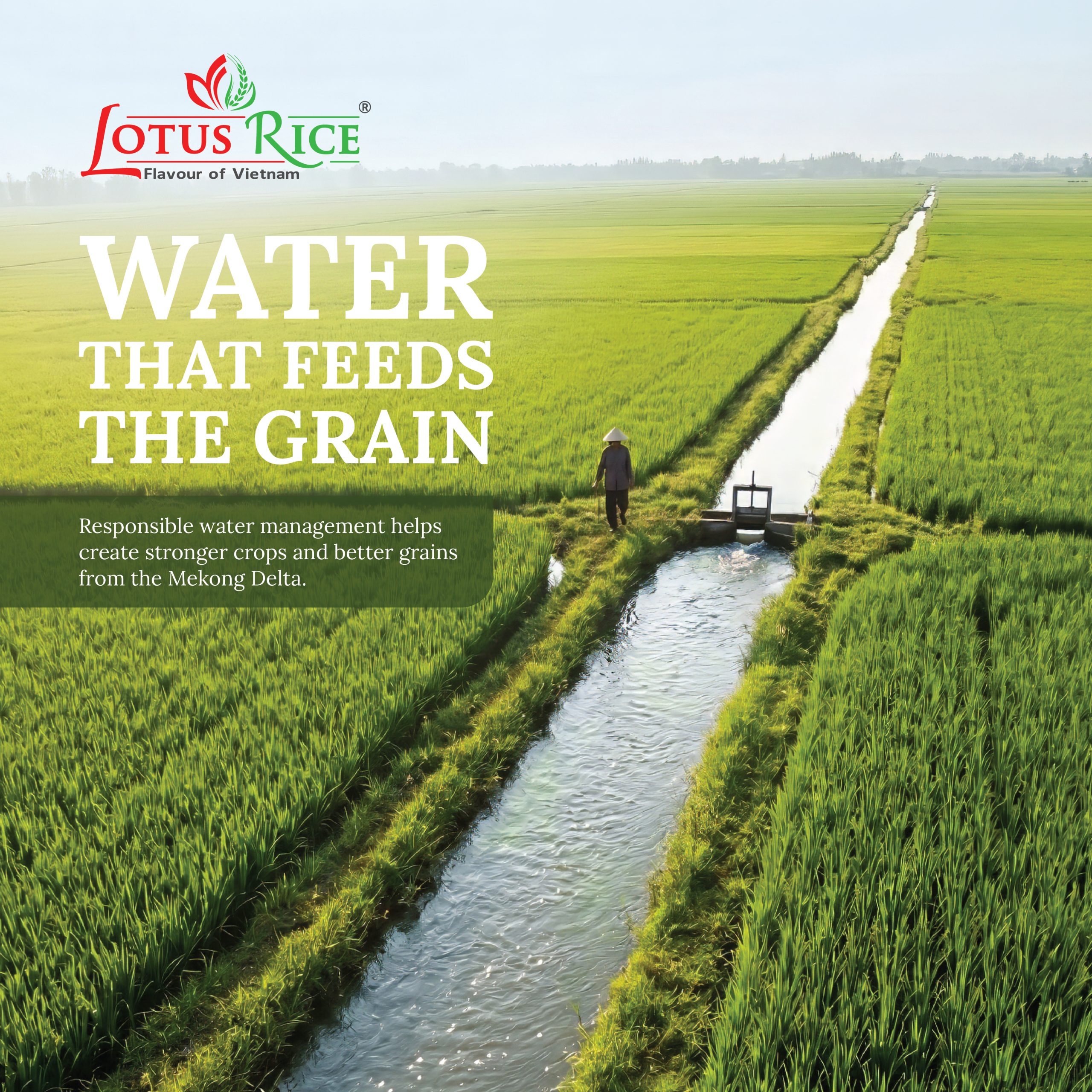 Lotus Rice at Africa Food Show 2026| Showcasing Premium Vietnamese Rice to Global Partners - Lotus Rice