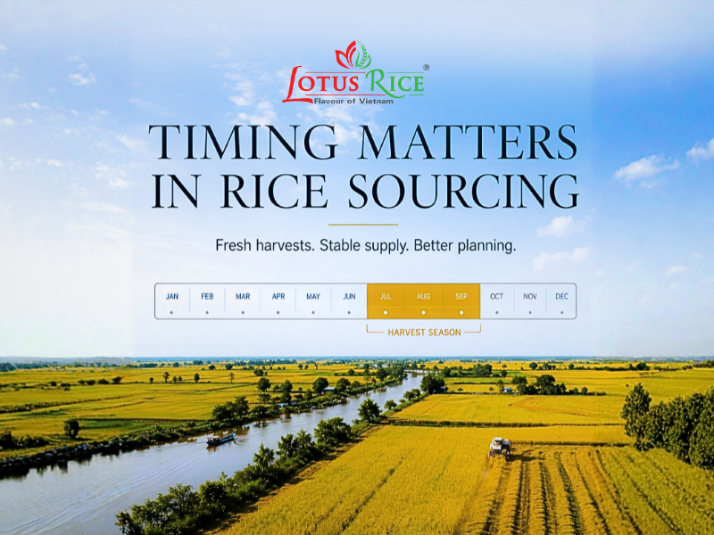 Top 5 Rice Exporting Countries In 2025- Global Market Overview - Lotus Rice
