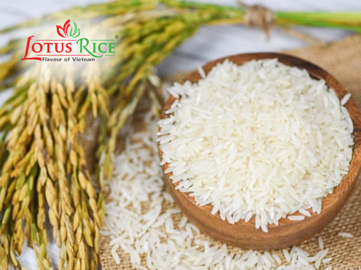 ST25 Rice - The Story Behind Vietnam’s Premium Rice Variety| Lotus Rice - Lotus Rice