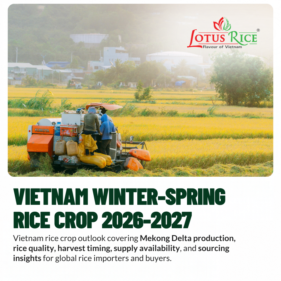 Vietnamese Farmers: The Heart Behind Sustainable Rice from Vietnam| Lotus Rice - Lotus Rice