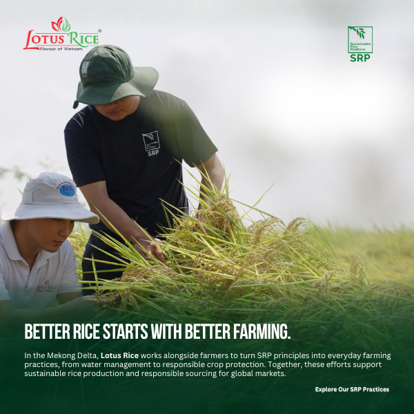 Vietnamese Farmers: The Heart Behind Sustainable Rice from Vietnam| Lotus Rice - Lotus Rice